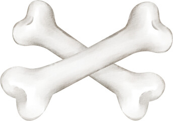 watercolor bone