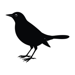 Blackbird Standing with Beak Pointed Forward Silhouette