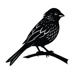 Canary on a Branch with Slightly Ruffled Feathers Silhouette