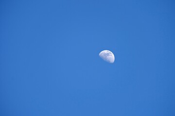 Blue sky and beautiful moon