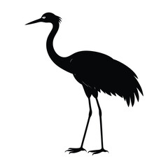 Crane Standing Elegantly with Long Legs and Neck Silhouette