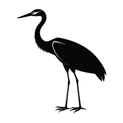 Crane Standing with Long Legs and Neck in Elegant Silhouette