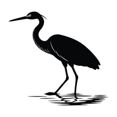 Egret Walking Gracefully Through Water Silhouette