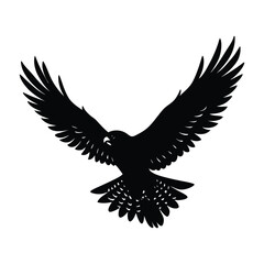 Goshawk in Flight with Fully Extended Wings Silhouette