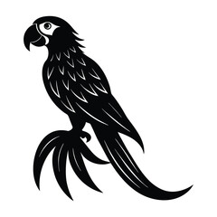 Macaw Perched with Long Tail and Large Beak Silhouette