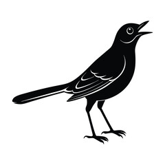 Mockingbird Standing with Slightly Open Beak Silhouette