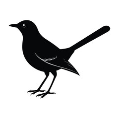 Mockingbird with Slightly Open Beak Standing Silhouette