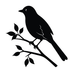 Nightingale Perched on a Branch with Slightly Tilted Head Silhouette