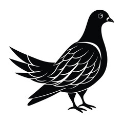 Pigeon Standing with Open Wings Silhouette
