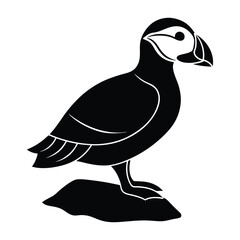 Puffin Standing on a Rock with Pointed Beak Silhouette