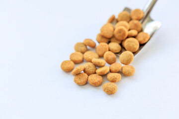 A spoonful of dog food is shown on a white background