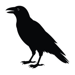 Raven Standing with a Slightly Open Beak Silhouette