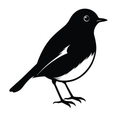 Robin Standing on Ground with Puffed Chest Silhouette