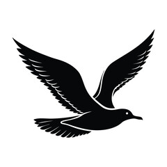 Seagull Gliding Over Water with Outstretched Wings Silhouette