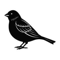 Sparrow Standing with Tail Slightly Raised Silhouette
