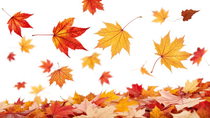 Colorful Autumn Leaves Falling on White Background for Seasonal Feel