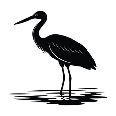 Stork Standing in Shallow Water with a Long Low Beak Silhouette
