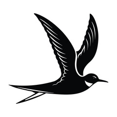 Tern Flying Low Over Water with Long Wings Silhouette