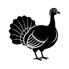 turkey chicken bird vector illustration