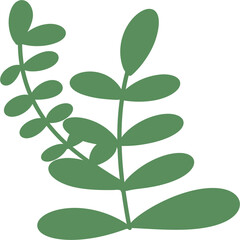 Beautiful, juicy green leaves, isolated illustration