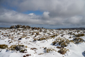 Obraz premium snow on a mountain in australia