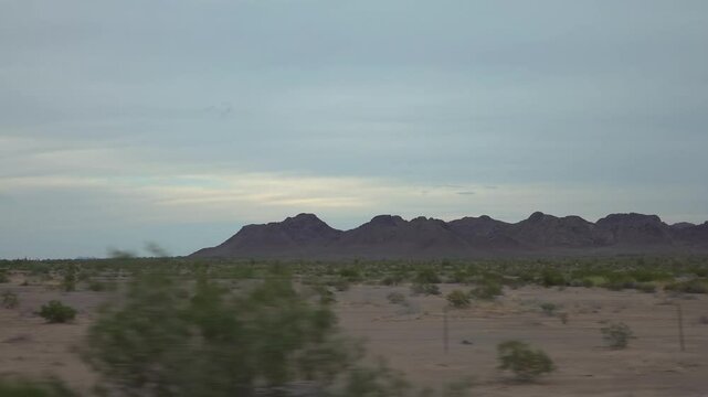 Arid landscape with junipers and grass in Arizona in slow motion 120fps