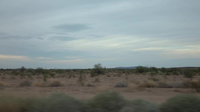 Arid landscape with junipers and grass in Arizona in slow motion 120fps