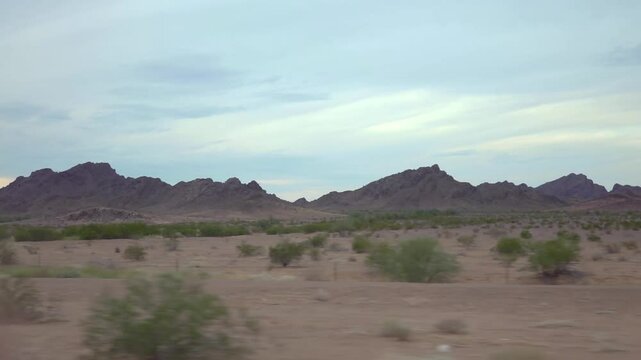 Arid landscape with junipers and grass in Arizona in slow motion 120fps