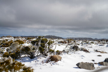 snow on a mountain in australia