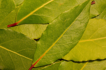 Pile of bay leaves top view background backdrop. Natural plant herb food ingredient concept.