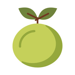 Green mamoncillo fruit icon image vector illustration design  green apple flat style