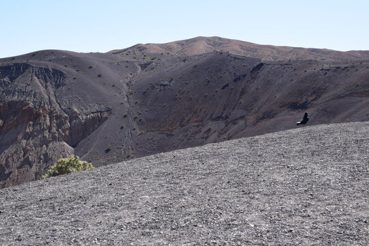 Crow near Black Desert Crater at Death Valley Ubehebe