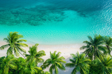 Pristine tropical beach with clear turquoise waters and lush palm trees along the shoreline in a sunny paradise