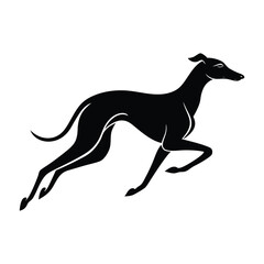 Whippet Mid-Sprint with Aerodynamic Form Silhouette for Pet Stock