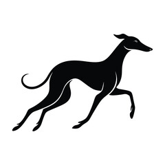 Whippet Mid-Sprint with Aerodynamic Form Silhouette for Stock Illustration