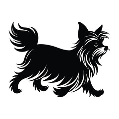 Yorkshire Terrier Running with Long Silky Fur Flow Silhouette for Stock Illustration