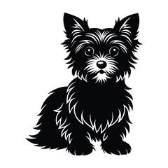 Yorkshire Terrier Sitting with Fluffy Coat and Perked Ears Silhouette for Pet Stock