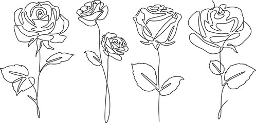 Rose flowers set elegance in continuous line art drawings. 