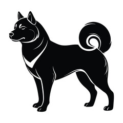 Akita Inu Standing Proudly with Curled Tail Silhouette Isolated