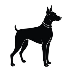 Alert Dog Standing with Ears Perked Silhouette Isolated