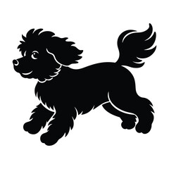 Bichon Frise Playfully Jumping with Fluffy Coat Silhouette Isolated