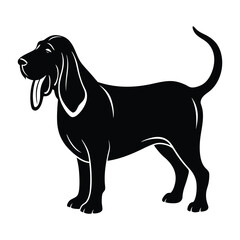 Bloodhound Sniffing the Air with Droopy Ears Silhouette Isolated