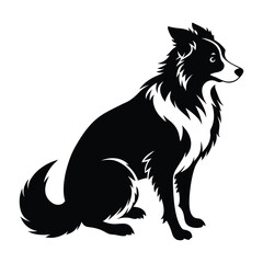 Border Collie in a Crouched Herding Pose Silhouette Isolated