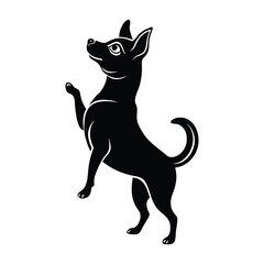 Chihuahua Standing on Hind Legs Reaching Up Silhouette Isolated