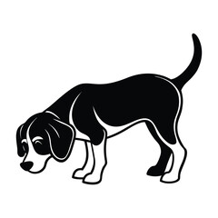 Curious Beagle Sniffing the Ground with Floppy Ears Silhouette Isolated