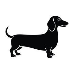 Dachshund Standing with an Elongated Body and Wagging Tail Silhouette