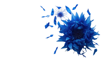 Blue flower losing petals on transparent background