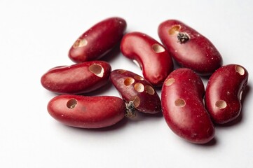 A close-up shows kidney beans damaged by weevils, illustrating pest impact on crops and food quality.