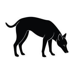 Dog Sniffing the Ground with Head Lowered Silhouette on White Background