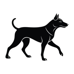 Dog with Confident Stride Walking Forward Silhouette on White Background